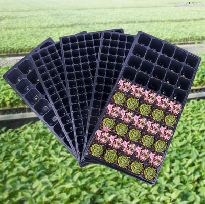 72 cell tray,105 cell tray,128 cell tray,200 cell tray,hole seed tray,