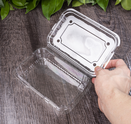 Imballaggi per vassoi di frutta, scatole per imballaggi di carne, scatole per imballaggi di verdure, vassoi per piantine, vasi di plastica per fiori, scatole per fast food, nonché scatole trasparenti in PVC, PP, PET e scatole stampate.