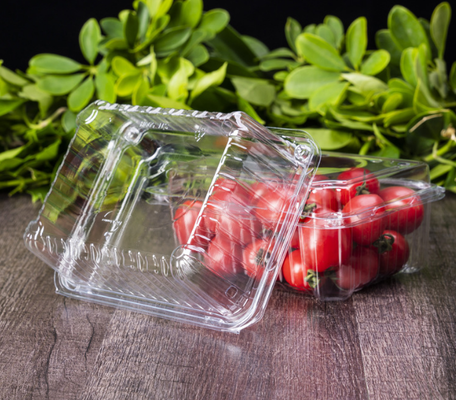 Imballaggi per vassoi di frutta, scatole per imballaggi di carne, scatole per imballaggi di verdure, vassoi per piantine, vasi di plastica per fiori, scatole per fast food, nonché scatole trasparenti in PVC, PP, PET e scatole stampate.