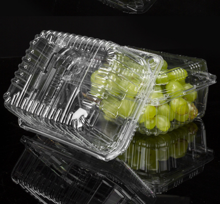 Confezioni di frutta, scatole per imballaggi di carne, scatole per imballaggi di ortaggi, vassoi per piantine, vasi di plastica per fiori, scatole per fast food, nonché scatole trasparenti in PVC, PP e PET e scatole stampate.