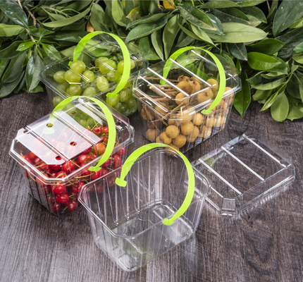 Imballaggi per vassoi di frutta, scatole per imballaggi di carne, scatole per imballaggi di verdure, vassoi per piantine, vasi di plastica per fiori, scatole per fast food, nonché scatole trasparenti in PVC, PP, PET e scatole stampate.