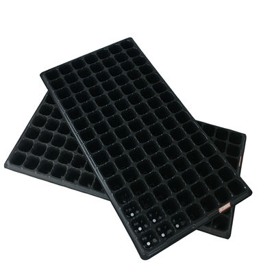 Il Adenium amichevole conveniente di Eco semina il seme Tray Plastic Seedling Tray di Taiwan