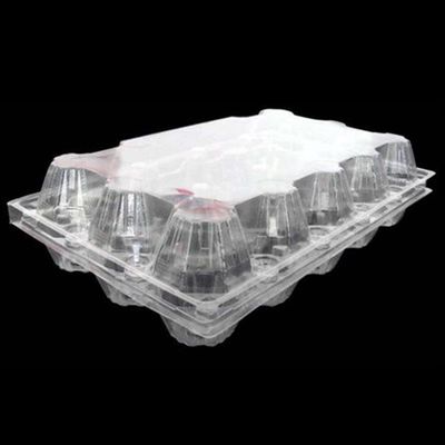uovo quadrato di plastica puro Tray Holder del vassoio 71mm dell'uovo dell'ANIMALE DOMESTICO eliminabile 15packs
