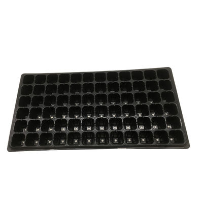 72 vassoi della piantina della fragola della pianta di Tray Plastic Seedling Tray Mango della scuola materna delle cellule