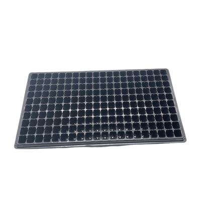 200 vassoi delle cellule del pomodoro della pianta di Tray Plastic Seedling Tray Mango della scuola materna dei fori