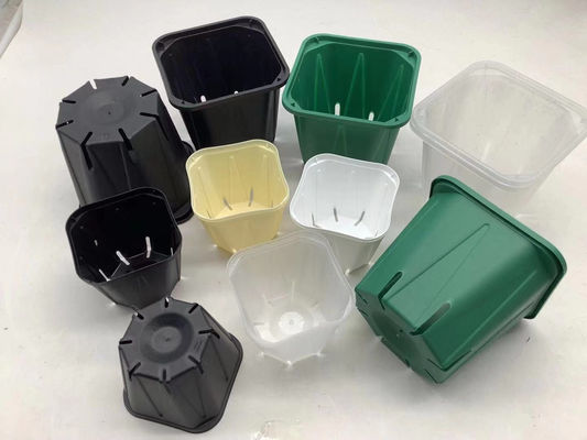 Strappo leggero del forte dell'orchidea vaso quadrato della piantina resistente