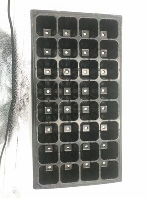 Vassoio per piantine in plastica a 32 celle, spessore 2 mm, per alberi forestali - Resistente all'invecchiamento e durevole