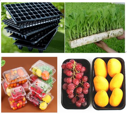 Confezione blister in plastica PET riciclabile con design personalizzato e termosaldatura per prodotti freschi